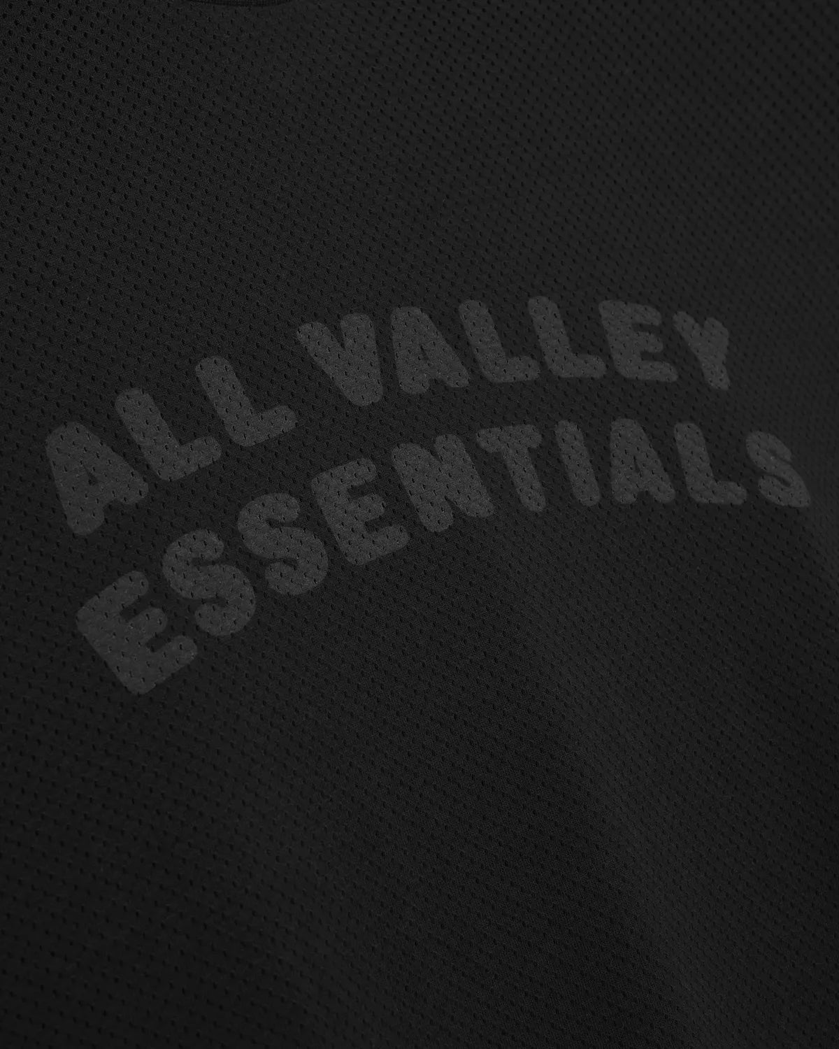 ESSENTIALS/HOODIE