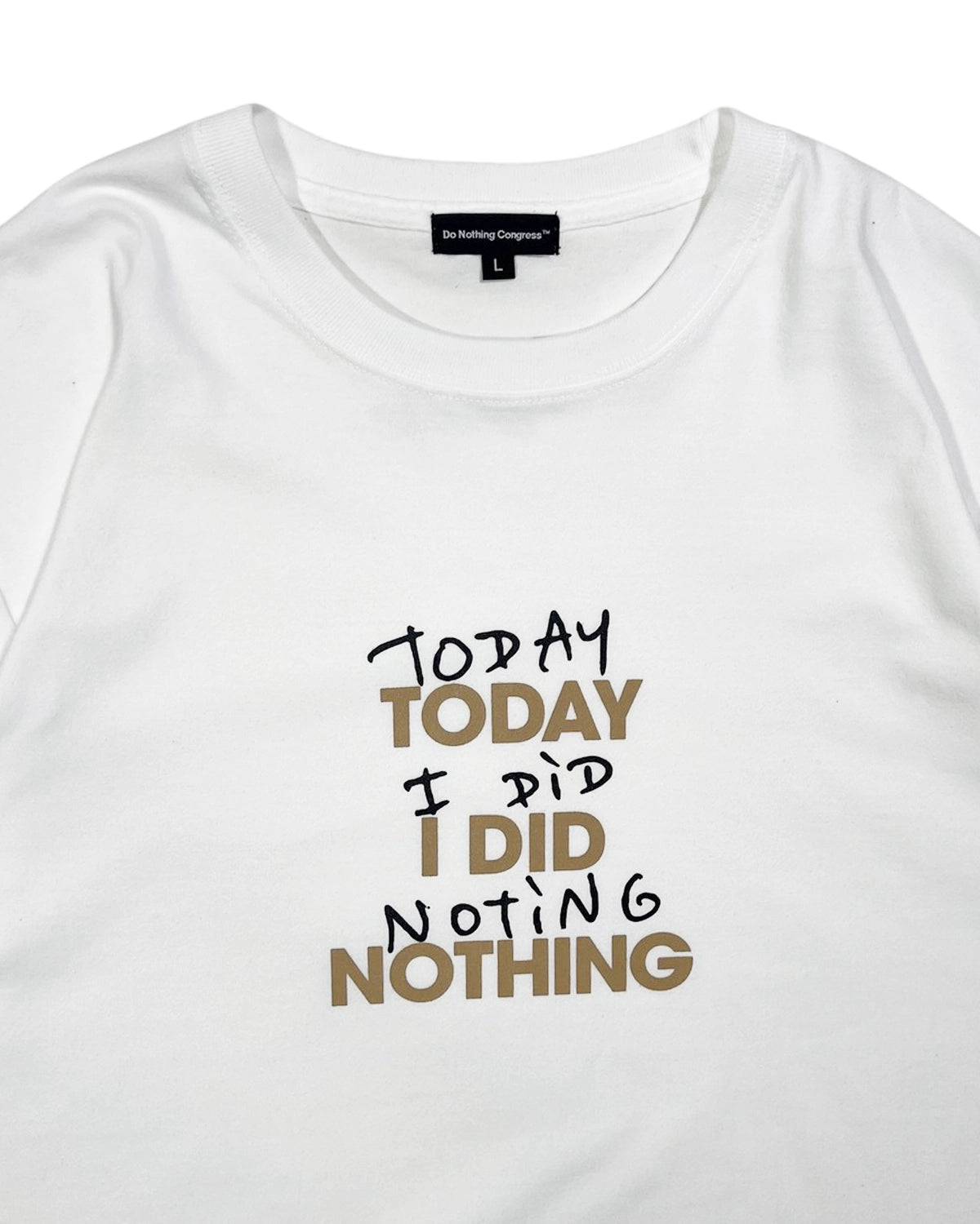 Do Nothing Congress / TODAY I DID NOTING
