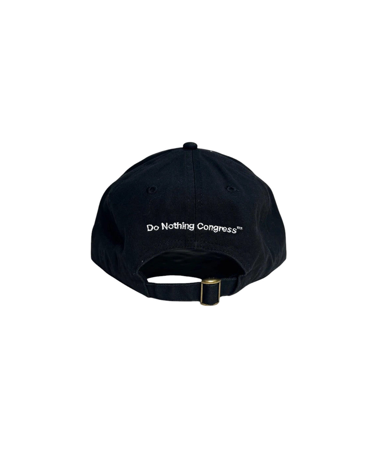 Do Nothing Congress / I DON'T WORK NEVER