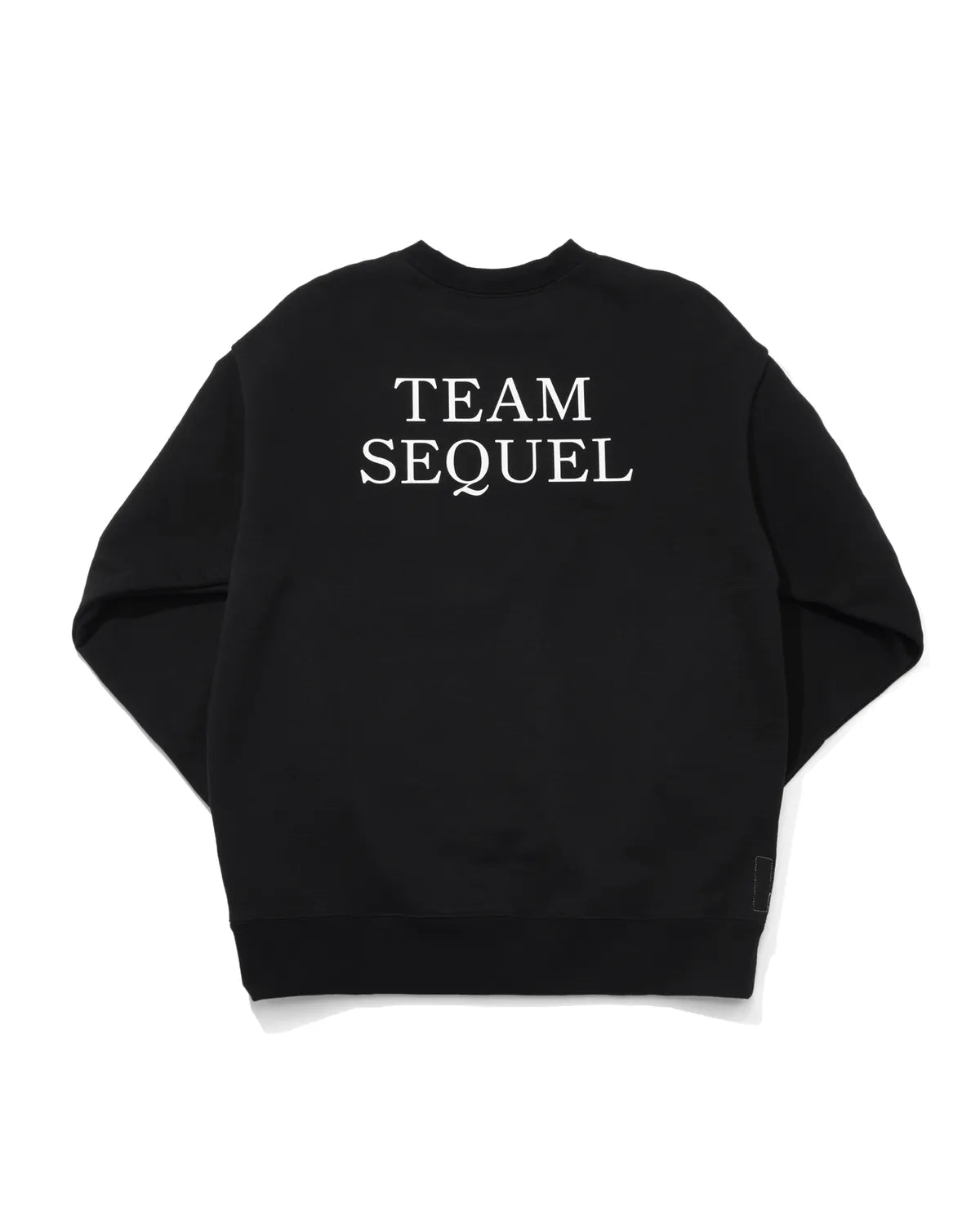 SEQUEL × THE SIMPSONS / CREW NECK SWEAT (SQ-24AW-TSCS-01)