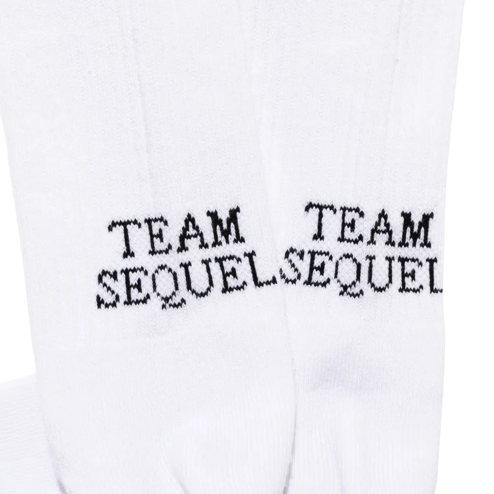 SEQUEL / SOCKS - 3PIECE 1PACK (SQ-24SS-SO-03)