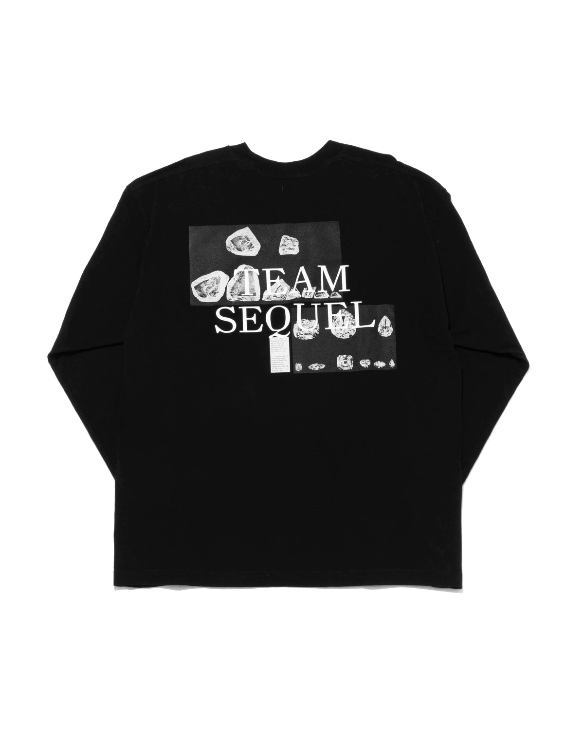 SEQUEL / LONG SLEEVE T-SHIRT (SQ-25SS-LT-02)