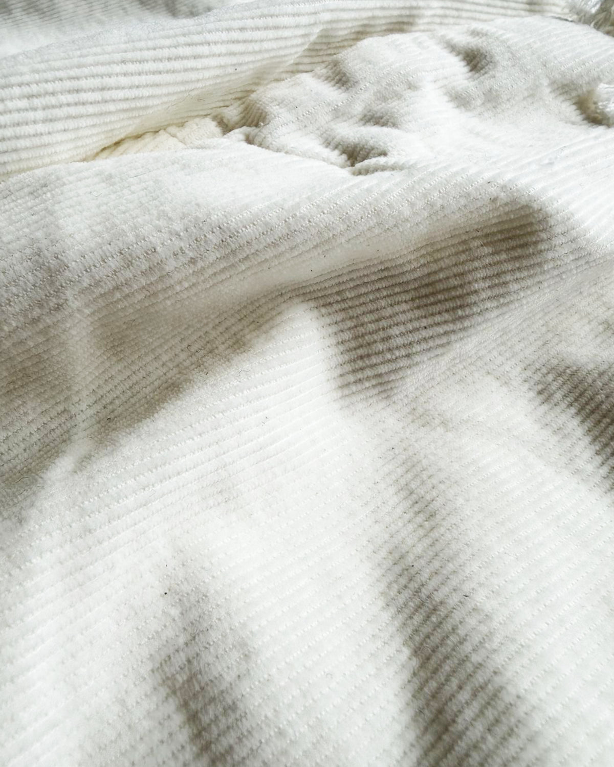 COMOLI / コーデュロイドローストリングパンツ (D01-03006)