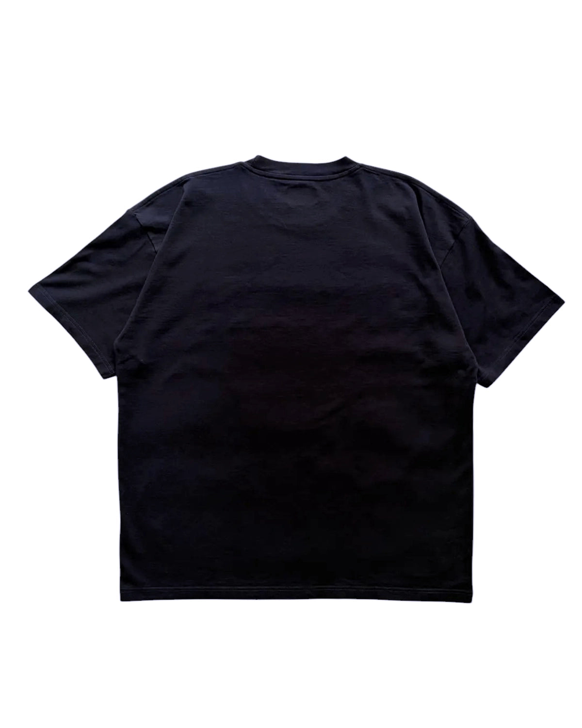 DESCENDANT / DIRT ORGANIC COTTON SS (261ATDS-CSM27)