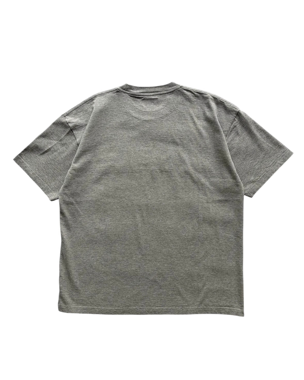 DESCENDANT / DIRT ORGANIC COTTON SS (261ATDS-CSM27)