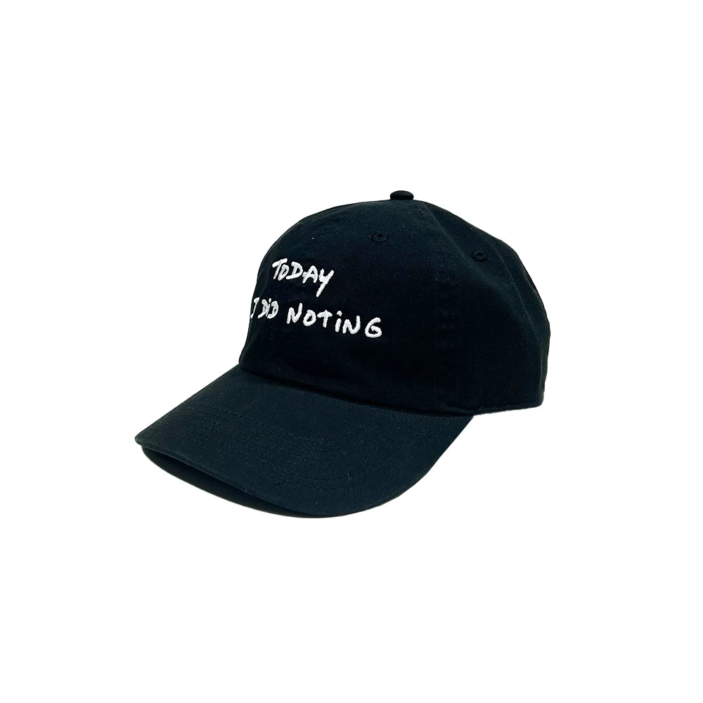 Do Nothing Congress の CAP "TODAY I DID "