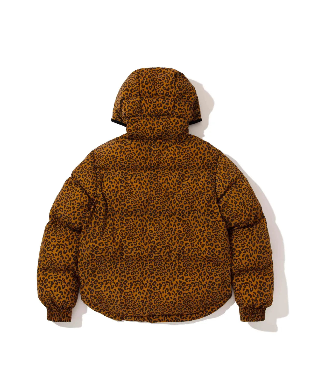 Acy × ALWAYTH / ALWACY HALF ZIP JACKET (ALWACY-26AW-001)