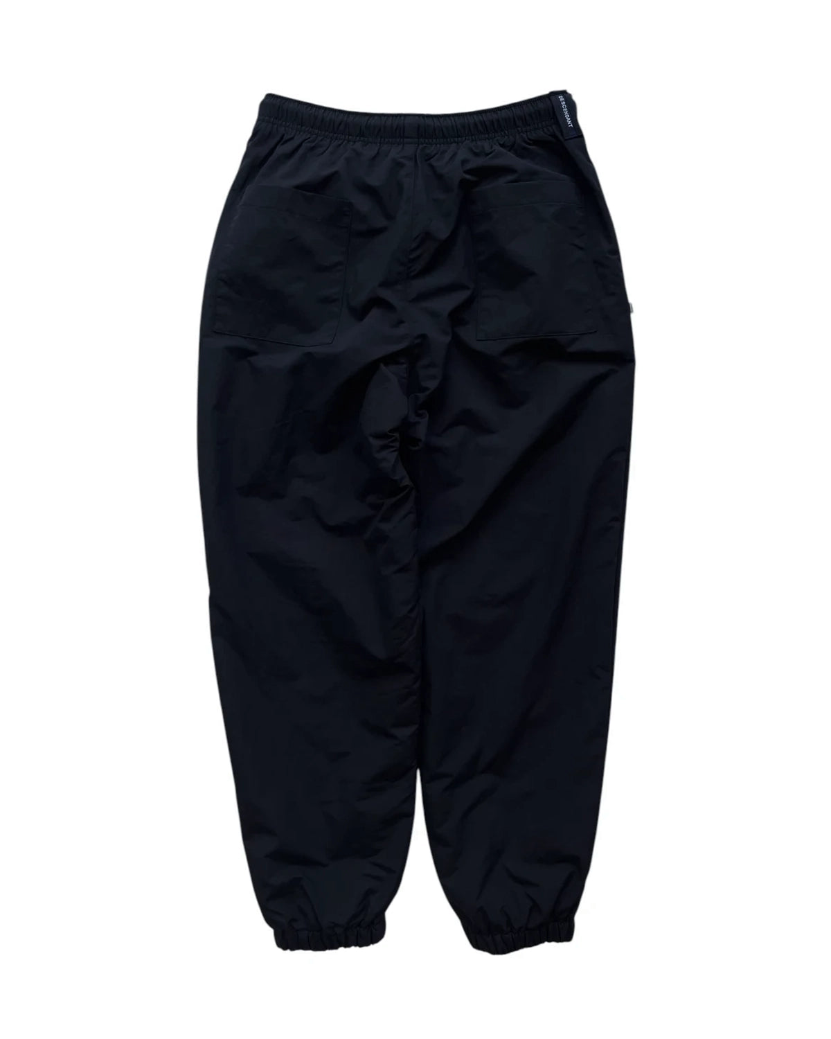 DESCENDANT / WHARF NYLON TROUSERS (252CPDS-PTM01)
