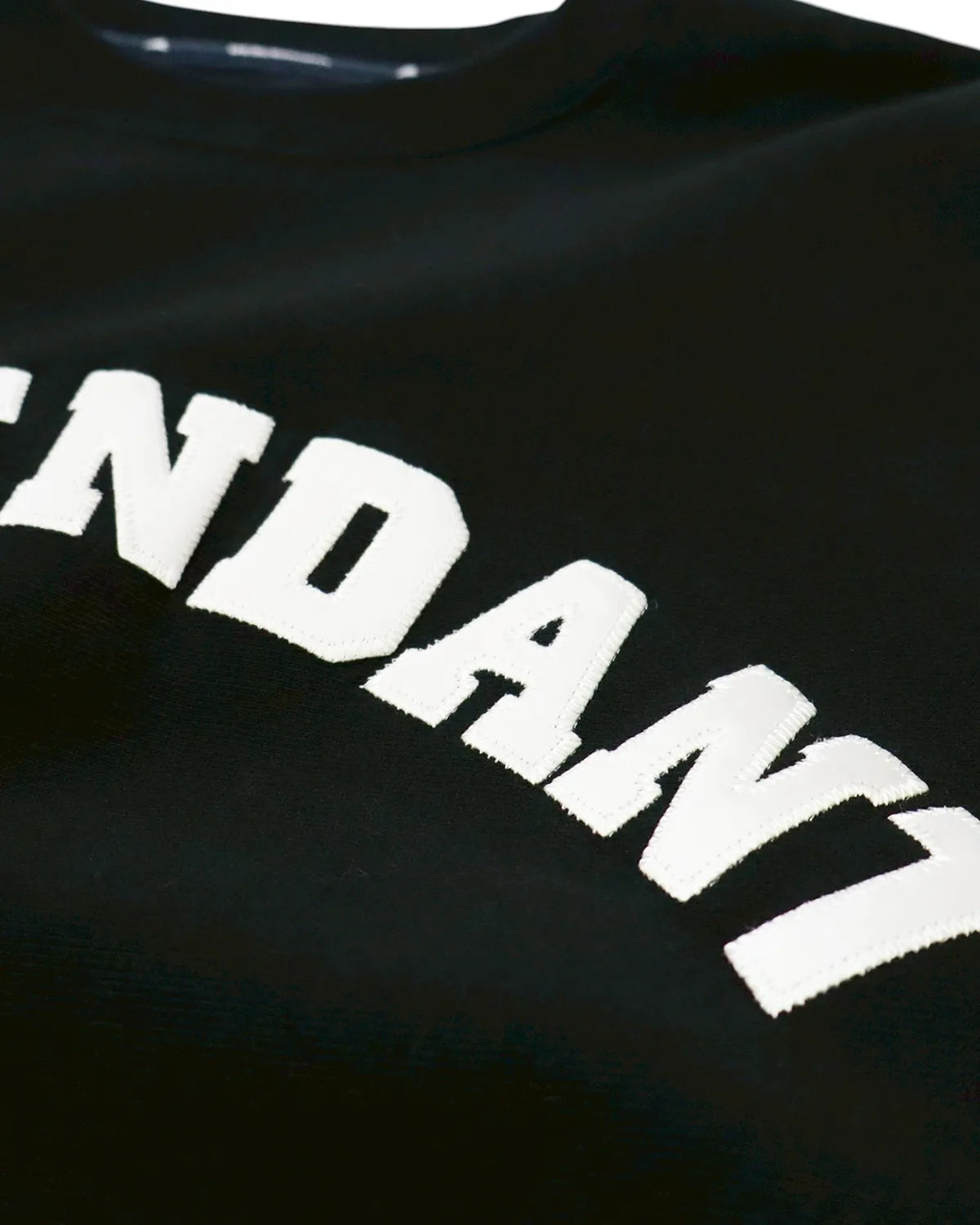 DESCENDANT / BREACHING CREW NECK (252ATDS-CSM16)