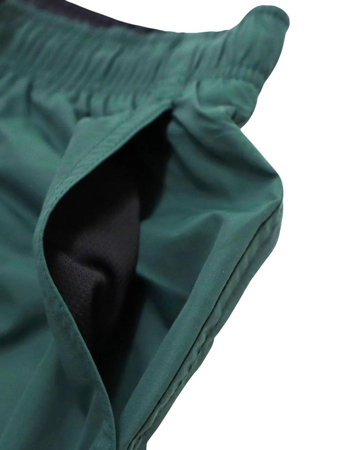 DESCENDANT / TIDE BEACH SHORTS (251CPDS-PTM06)