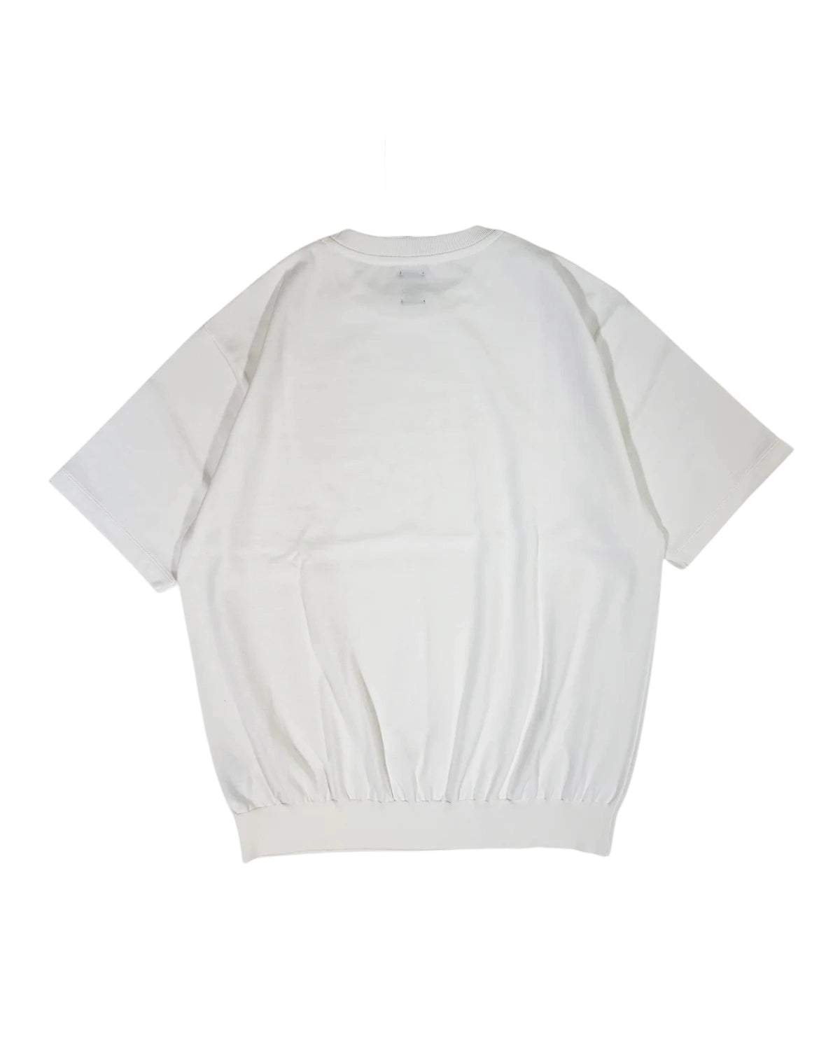 BATONER / BROWSING T-SHIRT (BN-26SM-076)