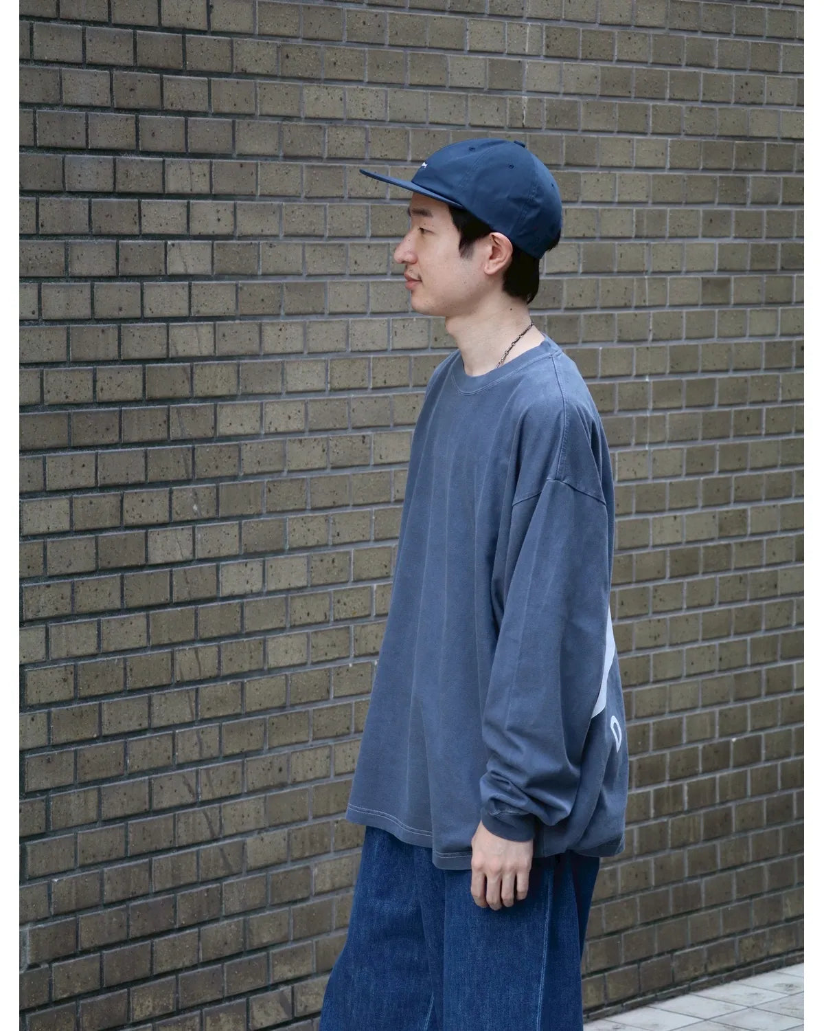 DESCENDANT / CETUS ORGANIC COTTON LS PIGMENT DYE (252ATDS-CSM17)