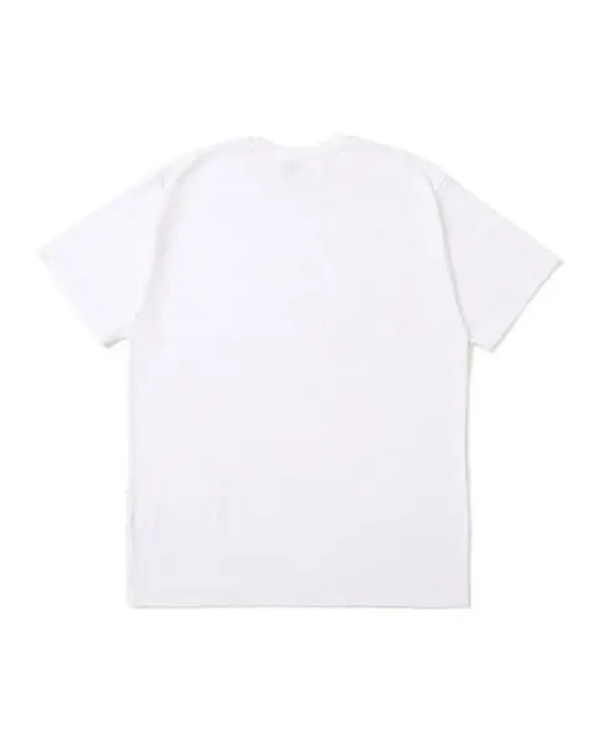 CHALLENGER / CRUISING TEE (CLG-TS 025-021)