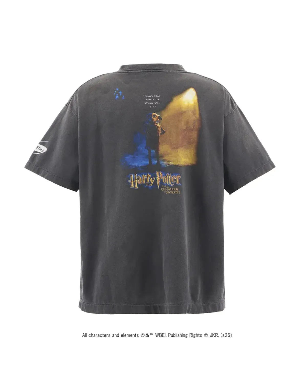 ©︎SAINT Mxxxxxx × Harry Potter / HP SS TEE - CHAMBER OF SCRT (SM-HR1-0000-C46)