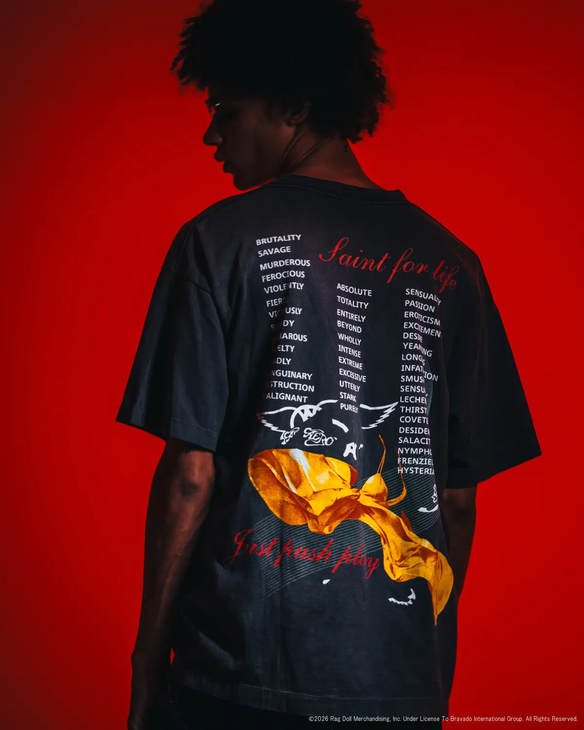 SAINT M×××××× (セントマイケル) / × AEROSMITH / AS_SS T-SHIRT