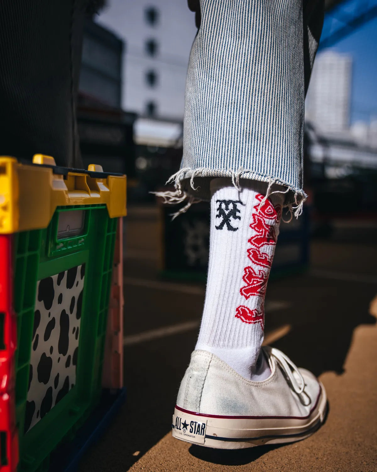 ©︎SAINT Mxxxxxx / SOCKS / SAINT (SM-MK8-0000-106)