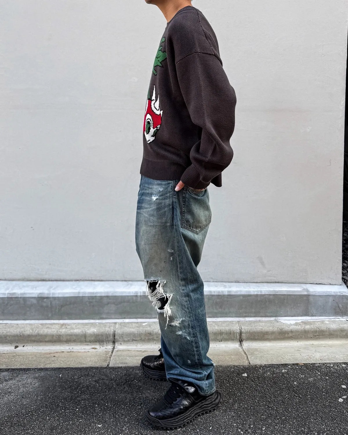 KAMIYA /  "BAKENEKO" Jqd knit pullover (G17PO082)