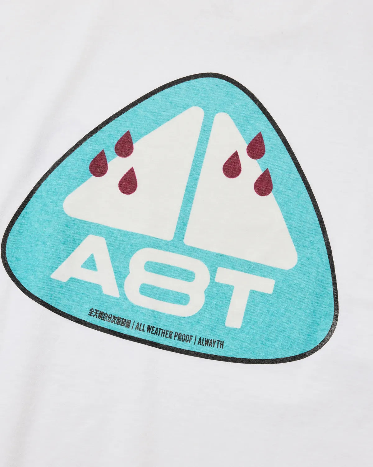 ALWAYTH / A8Terrain Tee (AW26LS-001)
