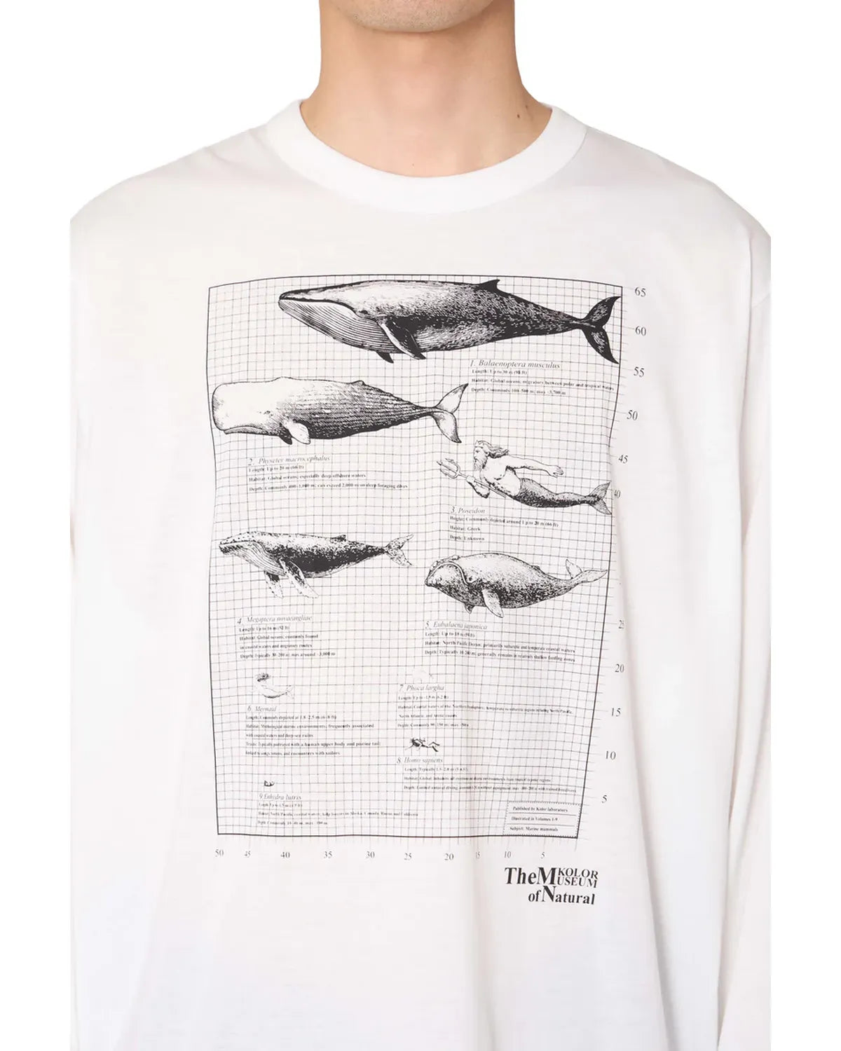 kolor / L/S T-SHIRT (26WCM-T17208)