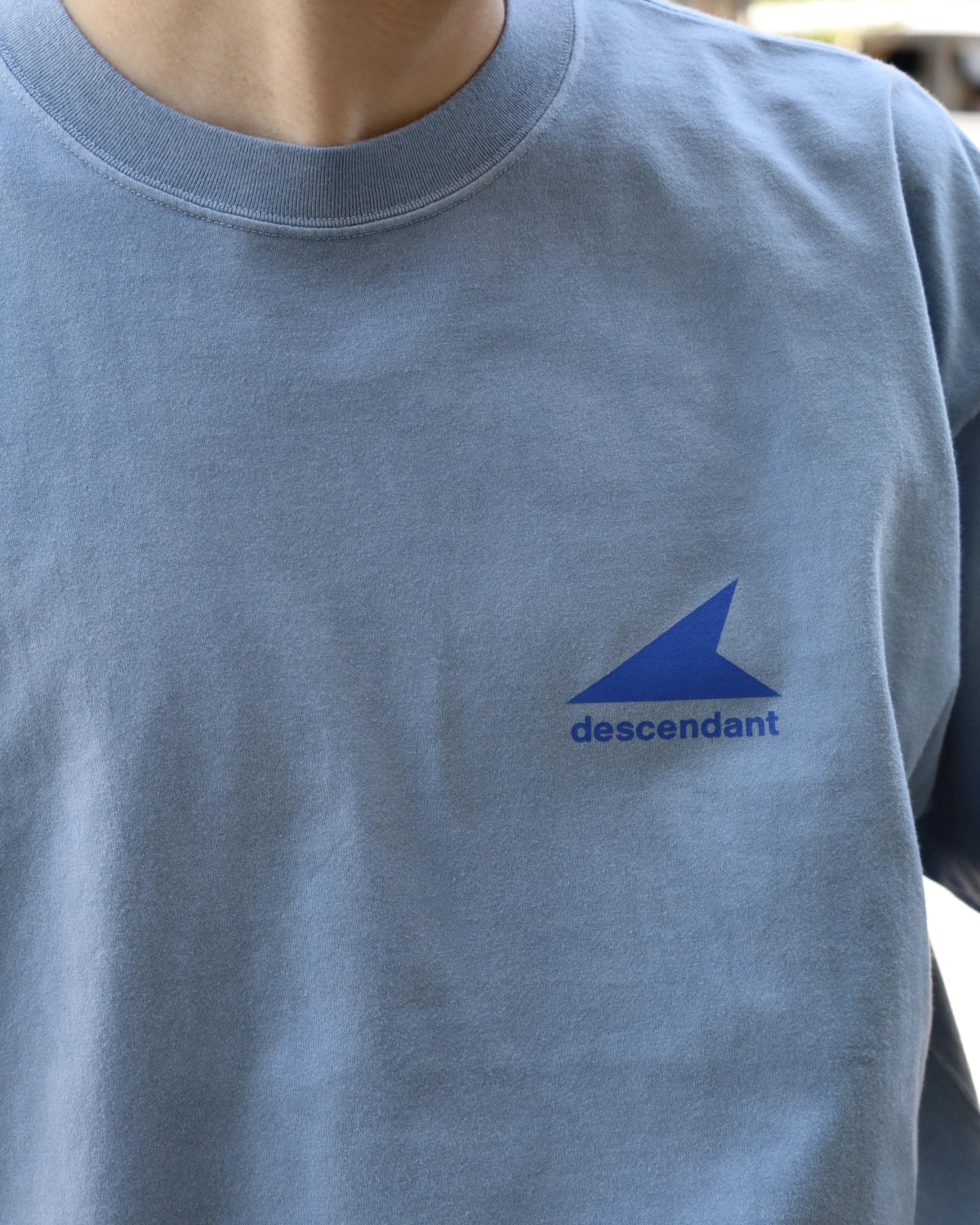 DESCENDANT / NO RECEPTION SS (261ATDS-CSM30)