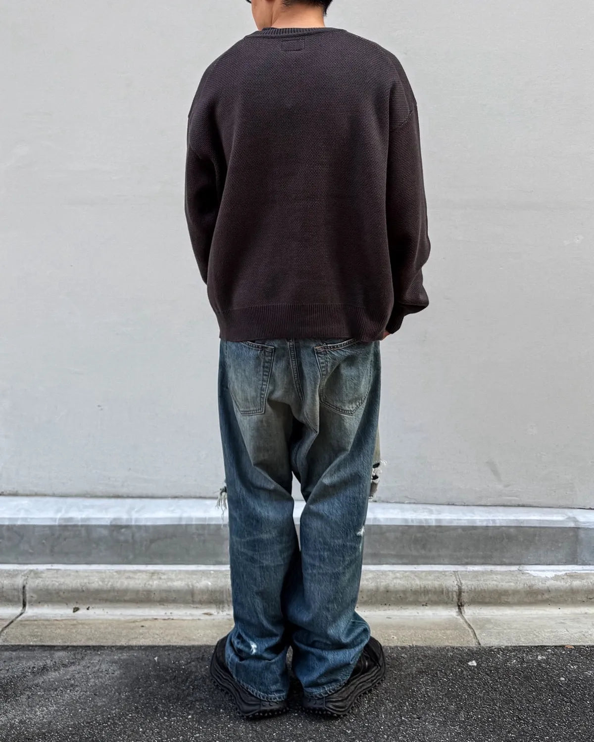 KAMIYA /  "BAKENEKO" Jqd knit pullover (G17PO082)