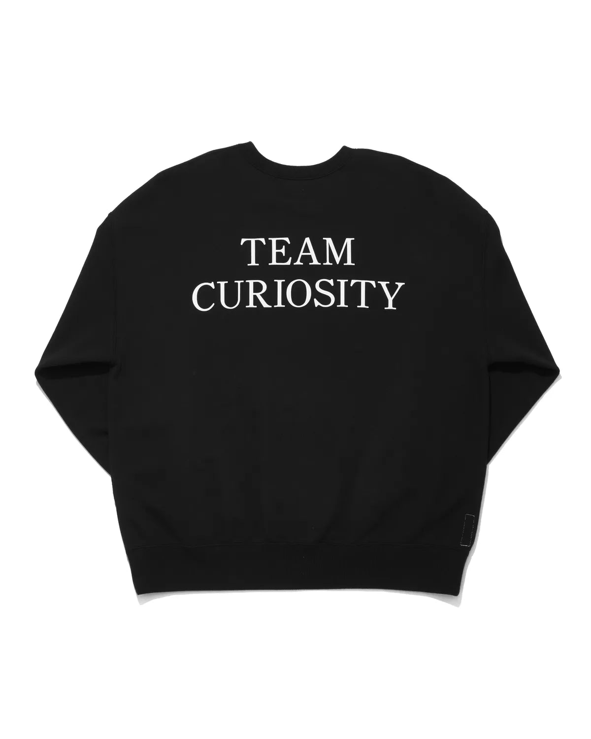 SEQUEL /SEQUEL×SANTA CRUZ CREW NECK SWEAT (SQ-25AW-SCCS-01)