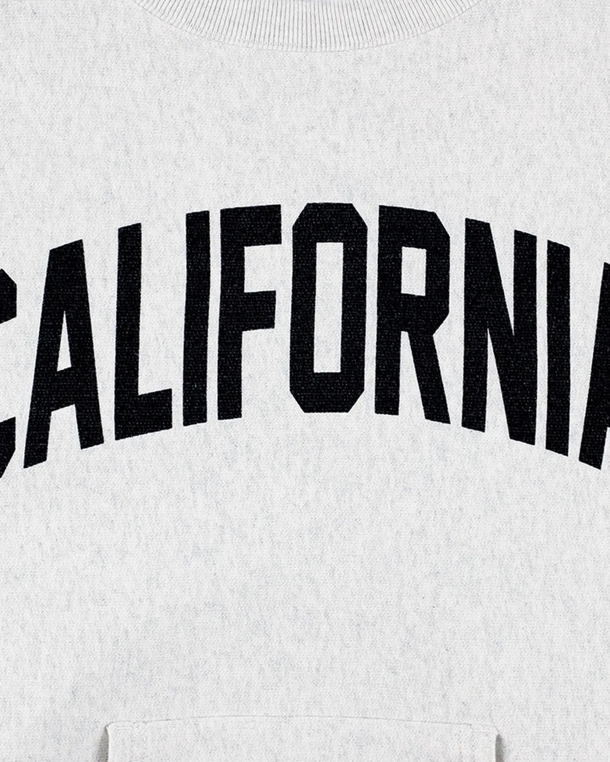 STANDARD CALIFORNIA / Champion For SD Exclusive R.W Crew Sweat (2000000383118)