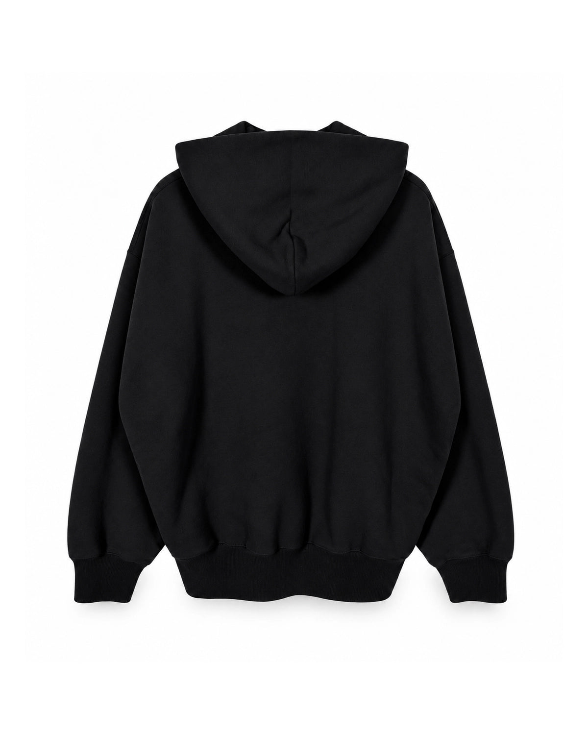 DESCENDANT / TEAM HOODY (262ATDS-CSM06)
