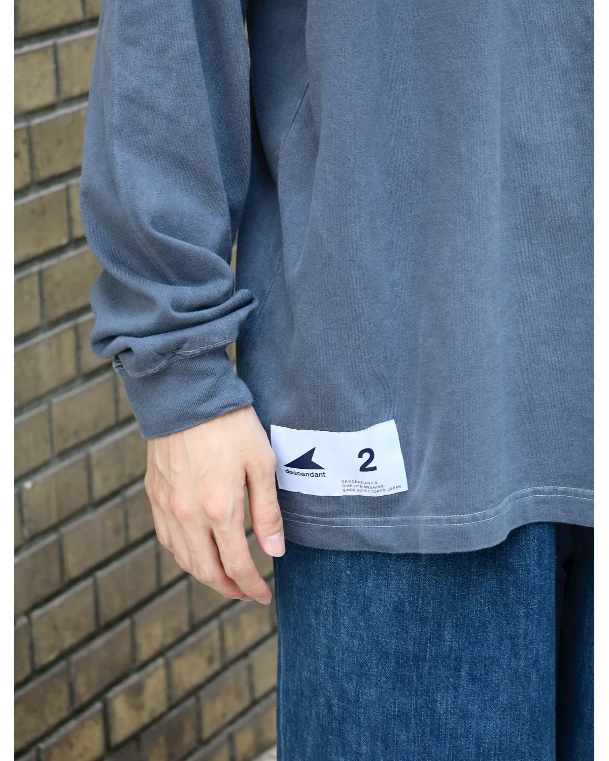DESCENDANT / CETUS ORGANIC COTTON LS PIGMENT DYE (252ATDS-CSM17)