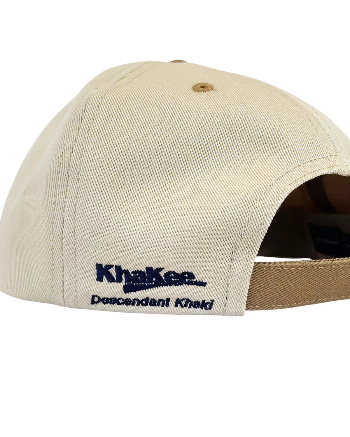 DESCENDANT / BOX 6PANEL (252HCDS-HT02)