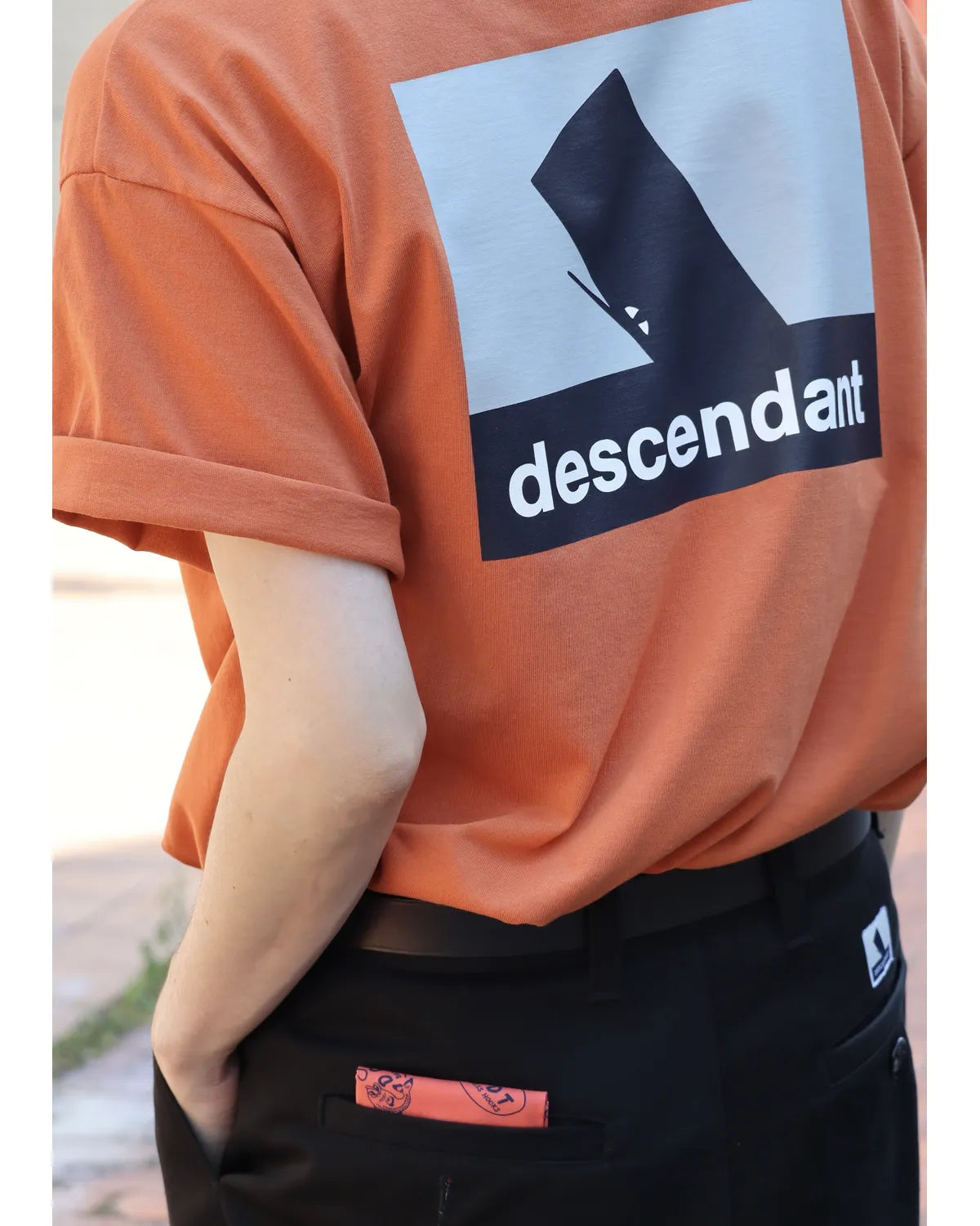 DESCENDANT / SPYHOP SS (261ATDS-STM03S)