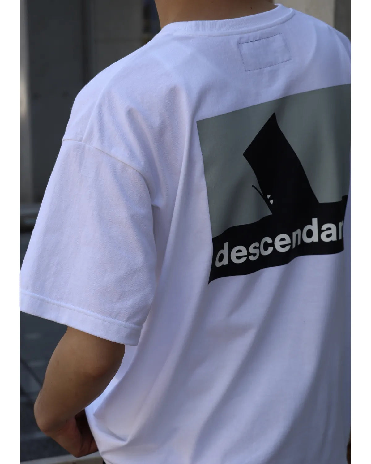 DESCENDANT / SPYHOP SS (261ATDS-STM03S)