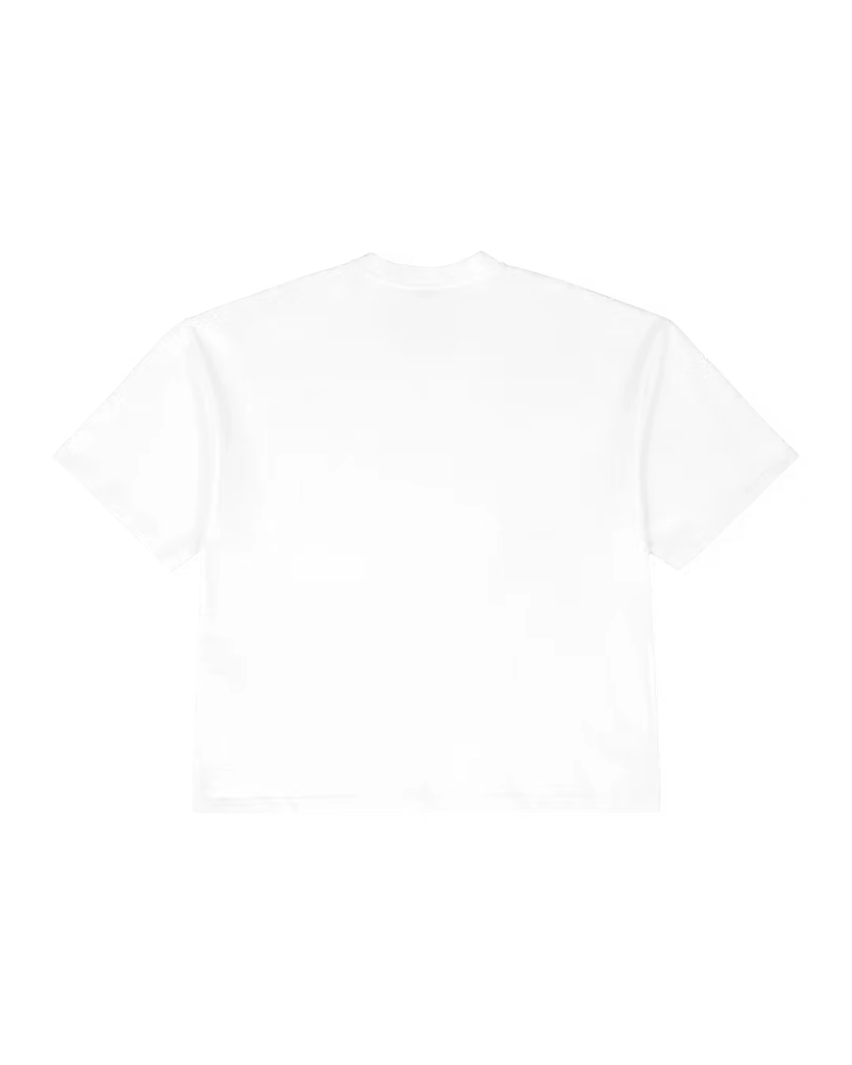 entire studios / Heavy Boxy Tee (ESSS26TT01012)