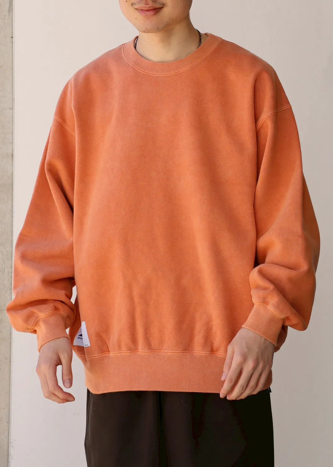 DESCENDANT / CETUS CREW NECK PIGMENT DYE (252ATDS-CSM15)