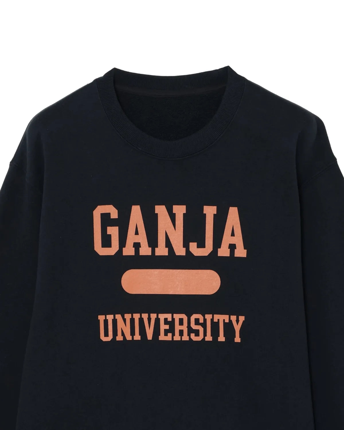 lucien pellat-finet / GRAPHIC CREW NECK SWEAT (213-43401)