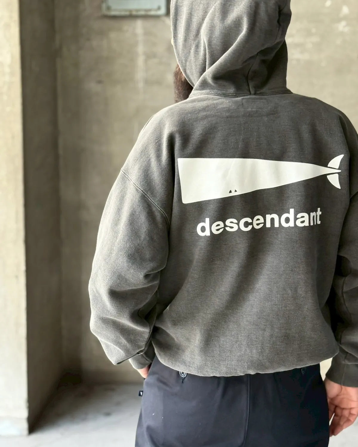 DESCENDANT / CACHALOT HOODY PIGMENT DYE (252ATDS-CSM02)