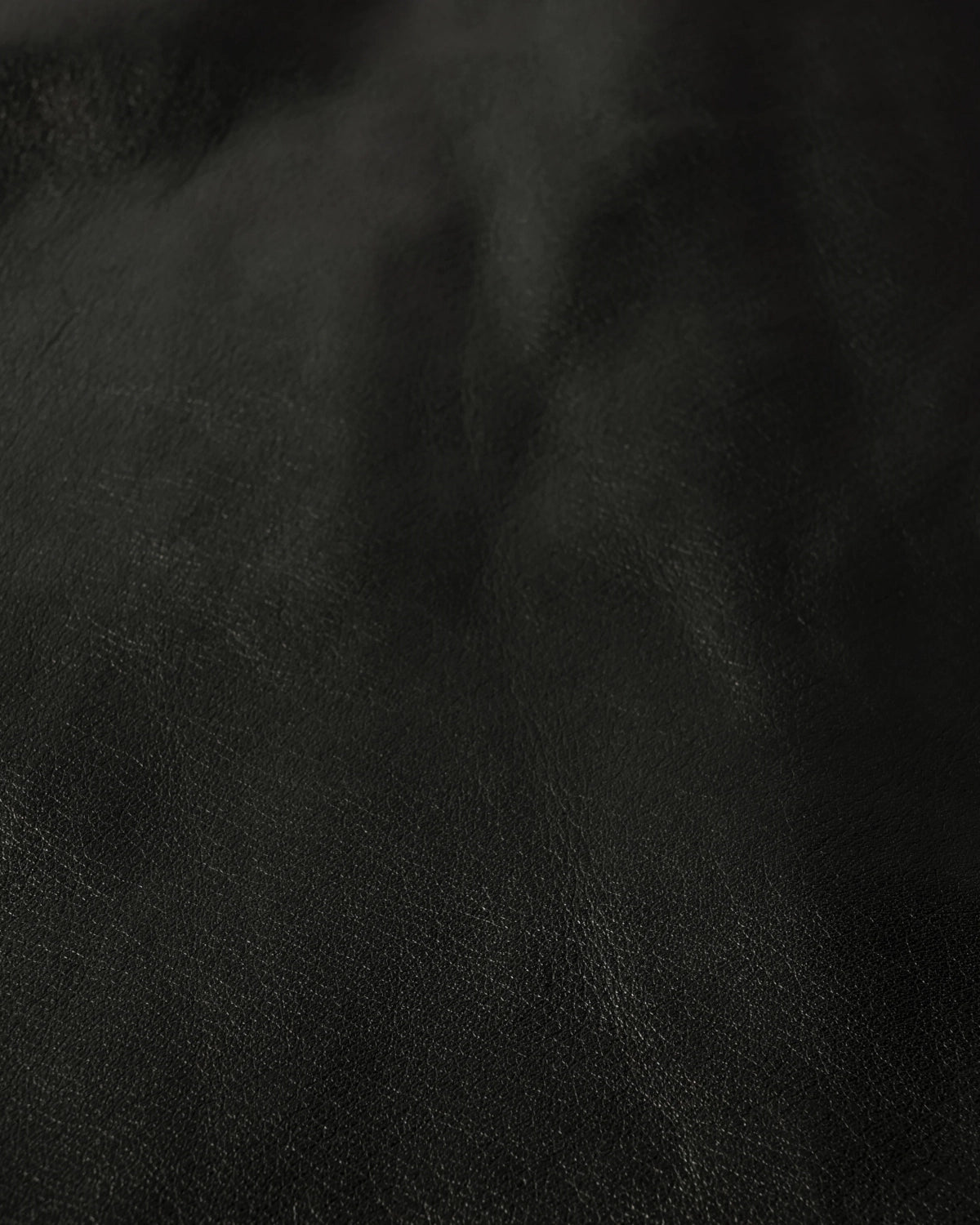 A LEATHER / ROADSTER JACKET (AMJ240305417)