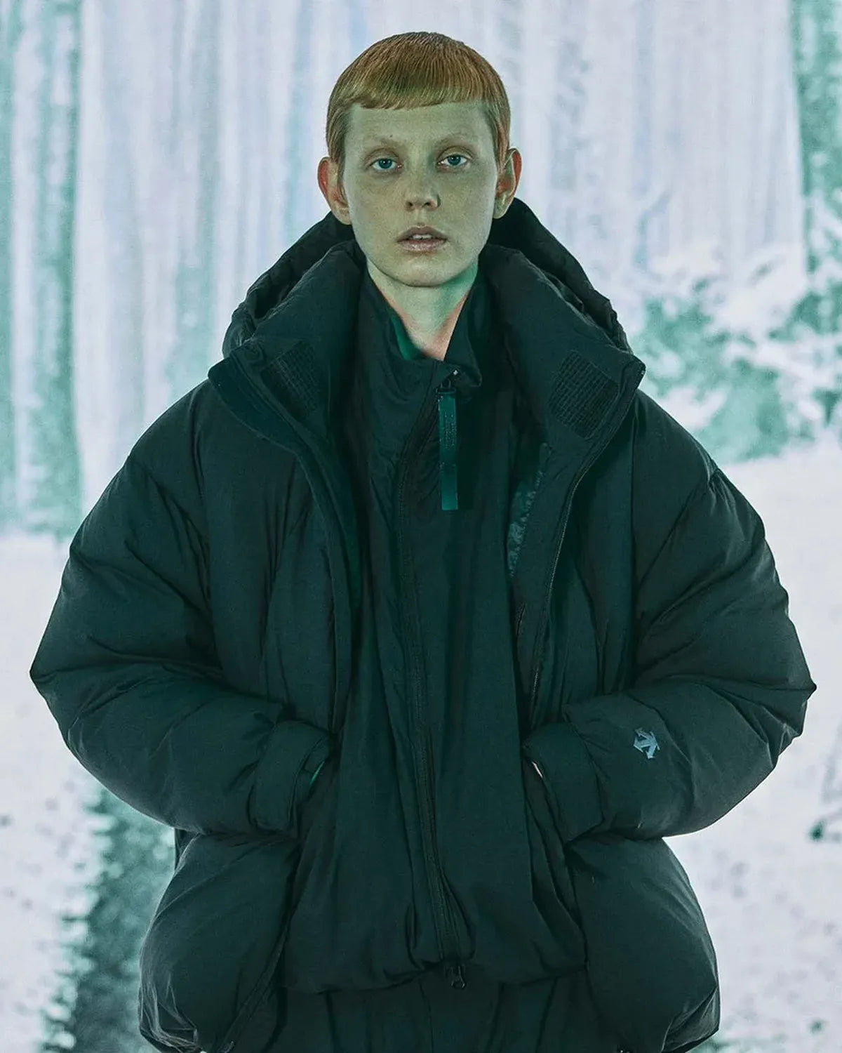 N.HOOLYWOOD ×  DESCENTE ALLTERRAIN / DOWN JACKT  (D06FDJ01MB-pieces)