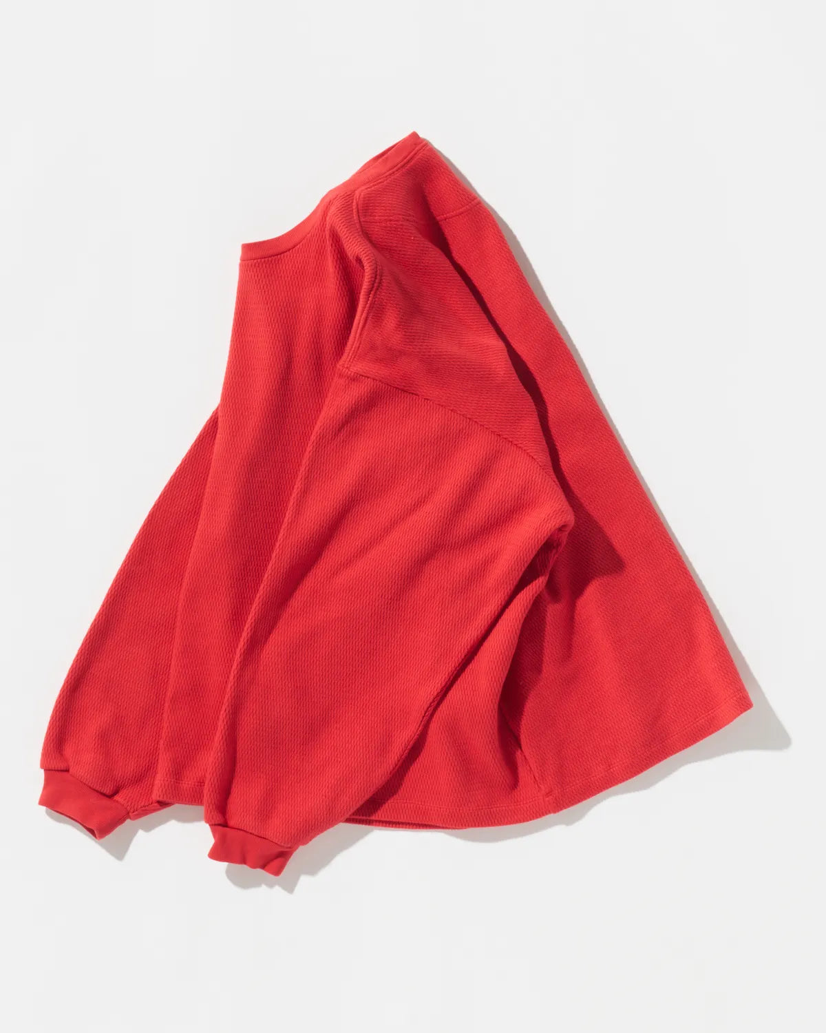 POLYPLOID / OVERSIZE LONGSLEEVE C (C-7-001-061)