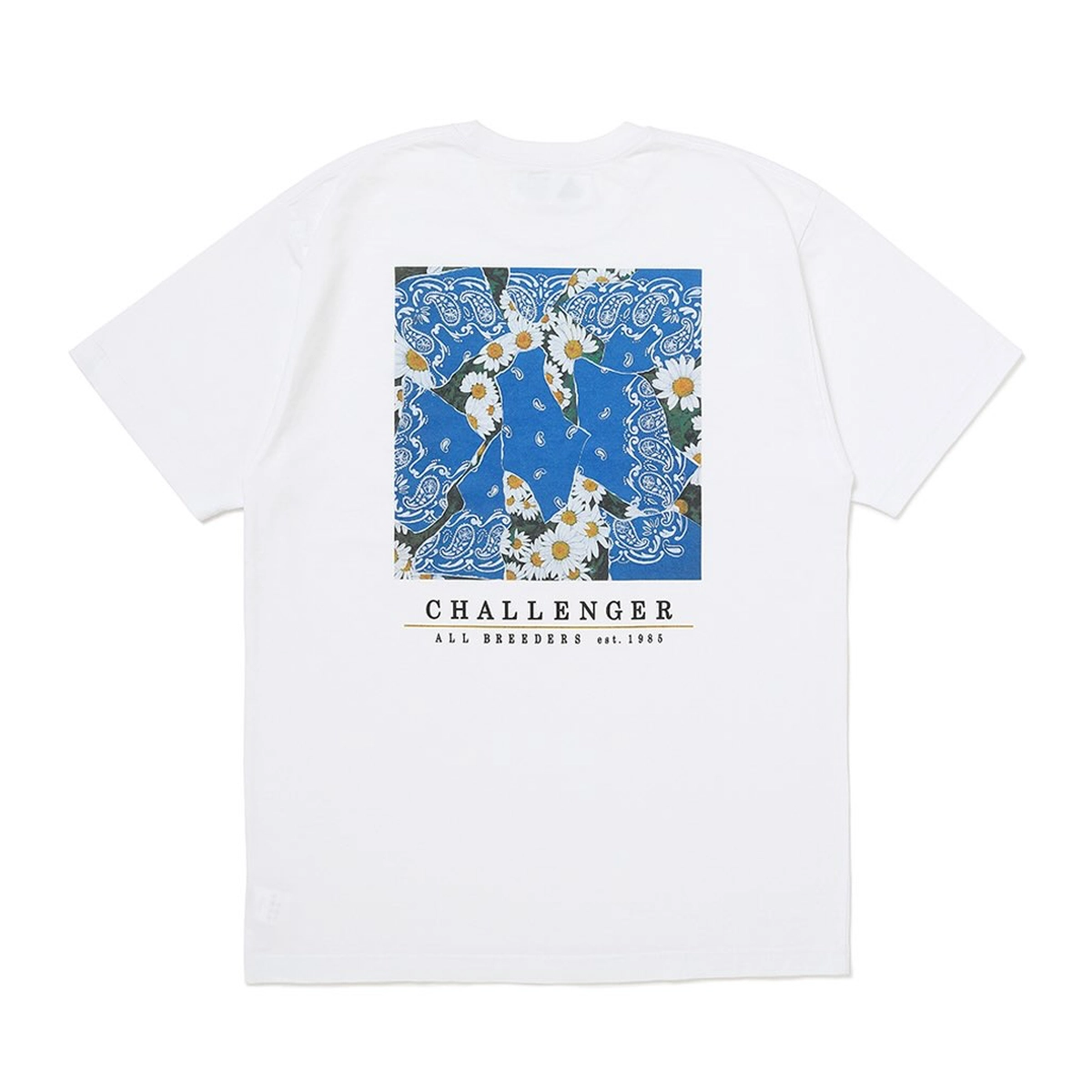 CHALLENGER(チャレンジャー) / DAISY TEE | 公式通販・JACK in the NET CHALLENGER(チャレンジャー) / DAISY TEE | 公式通販・JACK in the NET