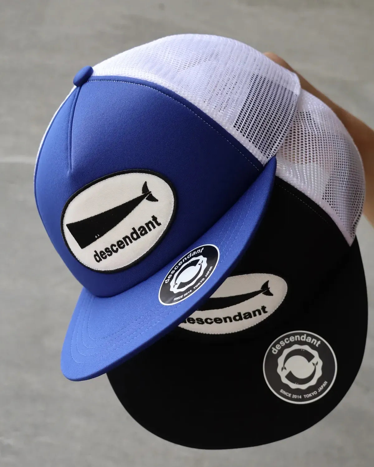 DESCENDANT / CACHALOT TRUCKER (261NSDS-HT06)