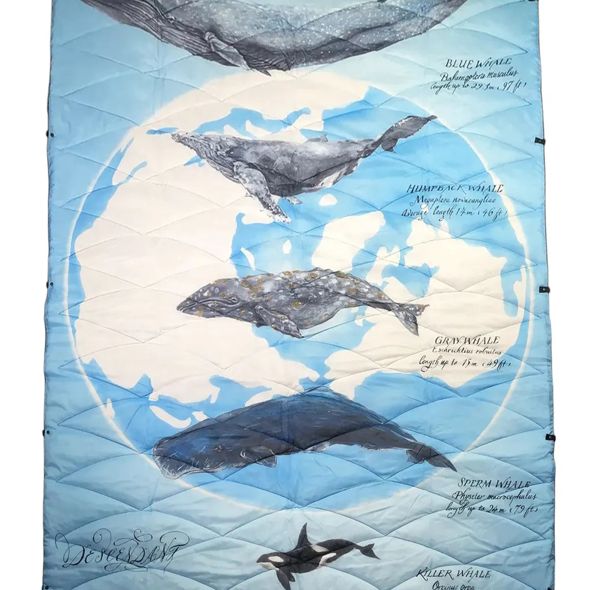 DESCENDANT_SEAFARERS_PUFFER_BL DESCENDANT_SEAFARERS_PUFFER_BL