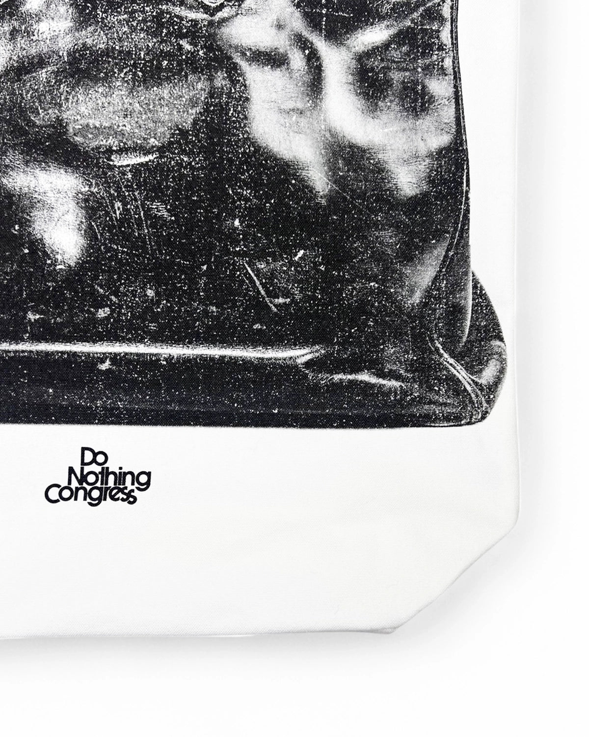 Do Nothing Congress  / SAC JB