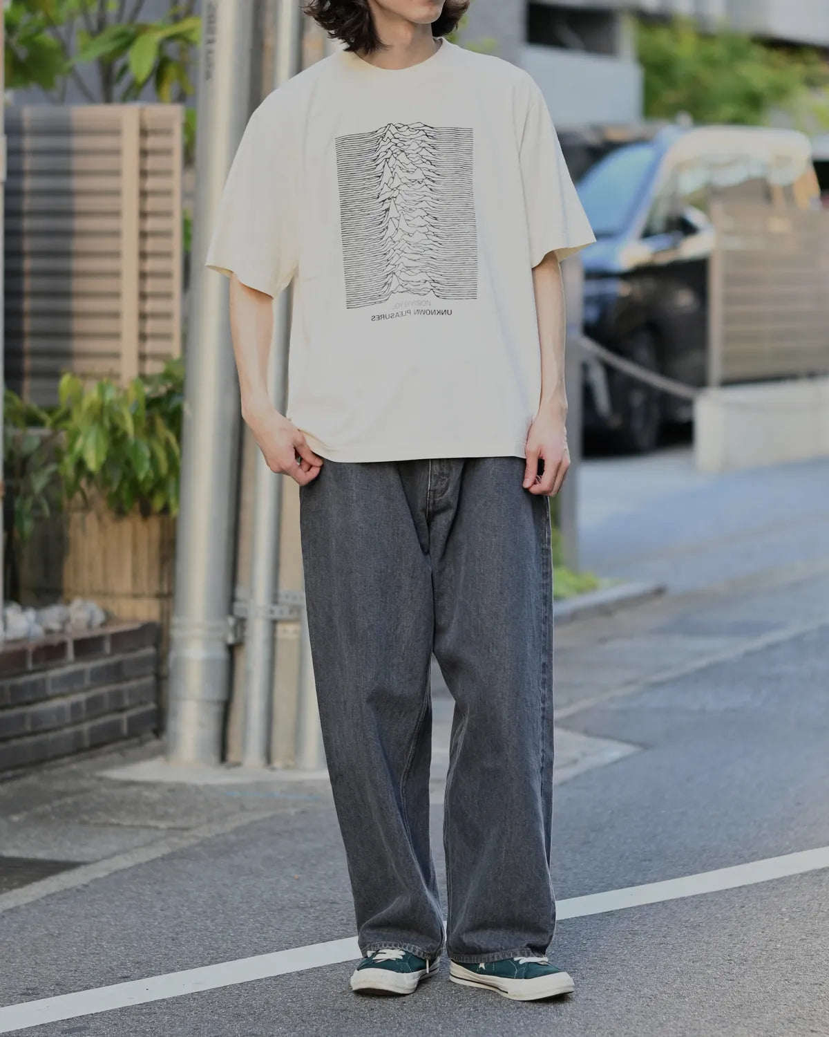 blurhmsROOTSTOCK / JD UNKNOWN PLEASURES Invert STANDARD (bROOTS25S33S26JD001)