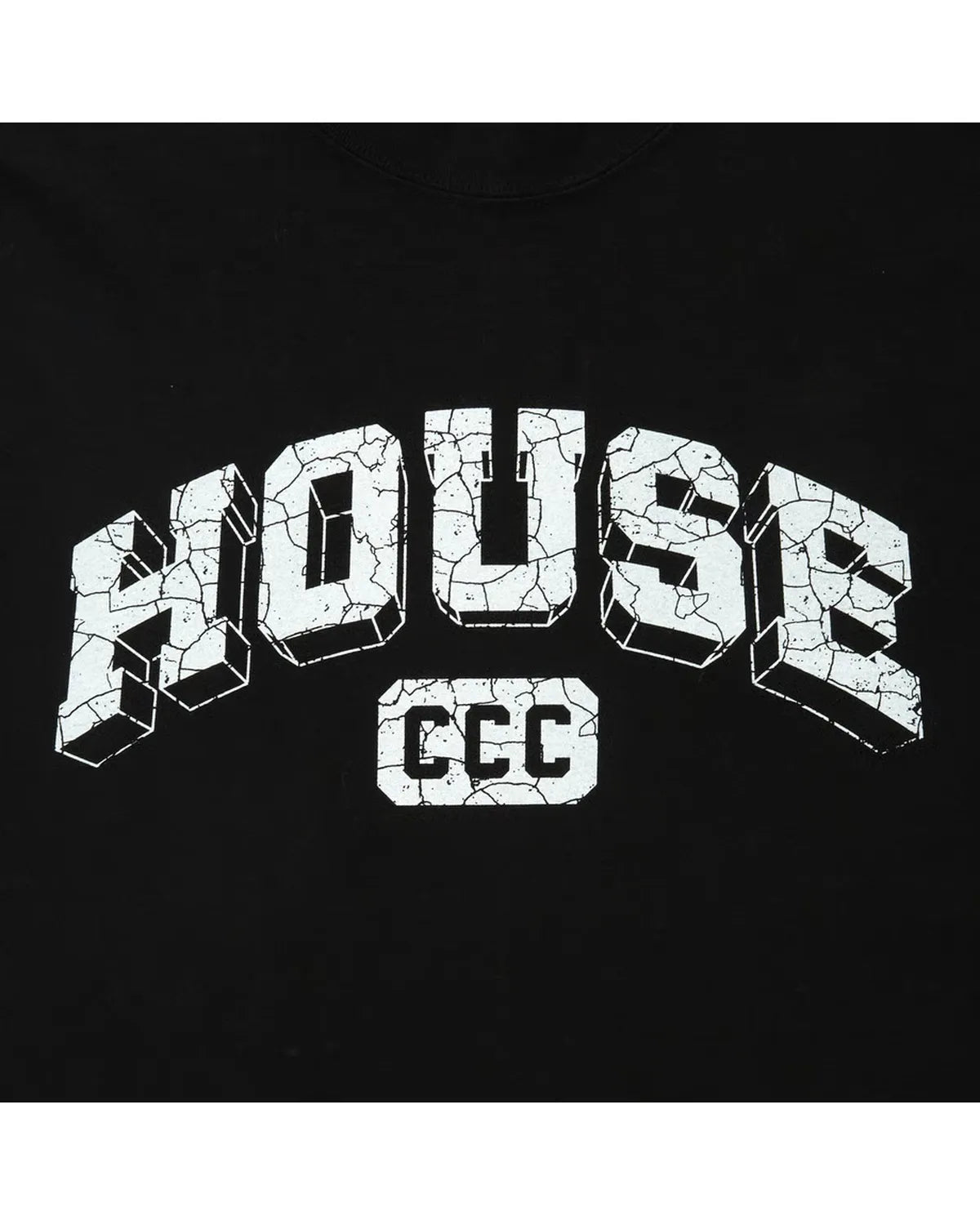CITY COUNTRY CITY / × ISNESS MUSIC COTTON T-SHIRT HOUSE (CCC-263T010)