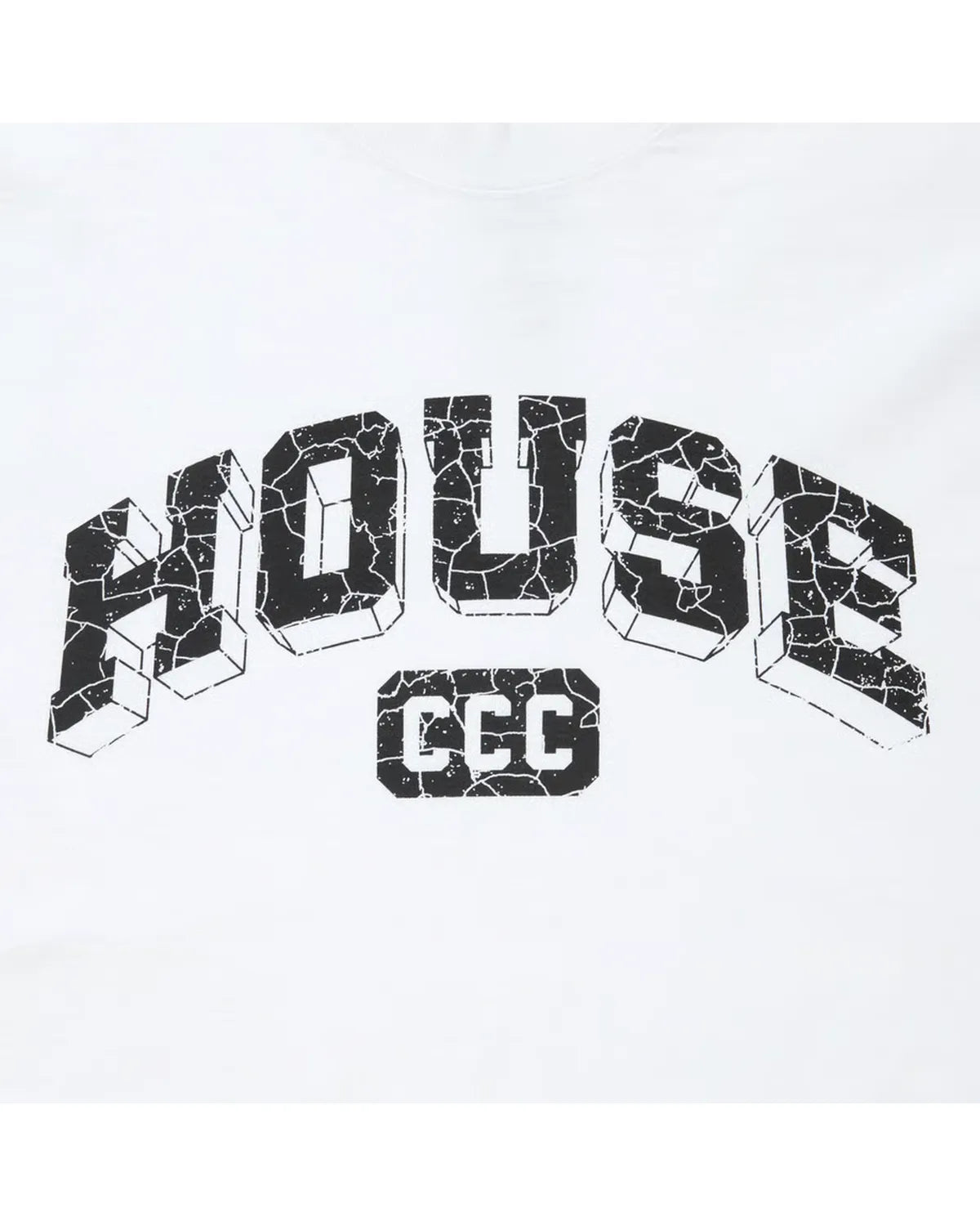 CITY COUNTRY CITY / × ISNESS MUSIC COTTON T-SHIRT HOUSE (CCC-263T010)
