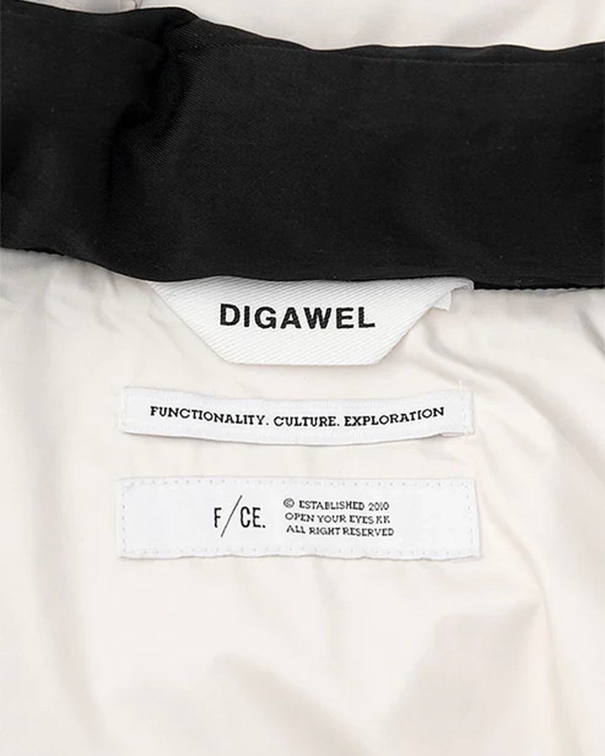 DIGAWEL × F/CE.  / Hoodie puffer jacket -F/CE.×DIGAWEL- (FSP09252U0004)