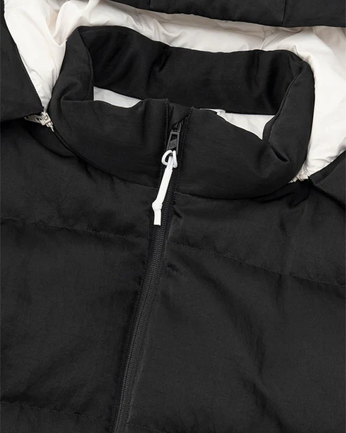 DIGAWEL × F/CE.  / Hoodie puffer jacket -F/CE.×DIGAWEL- (FSP09252U0004)