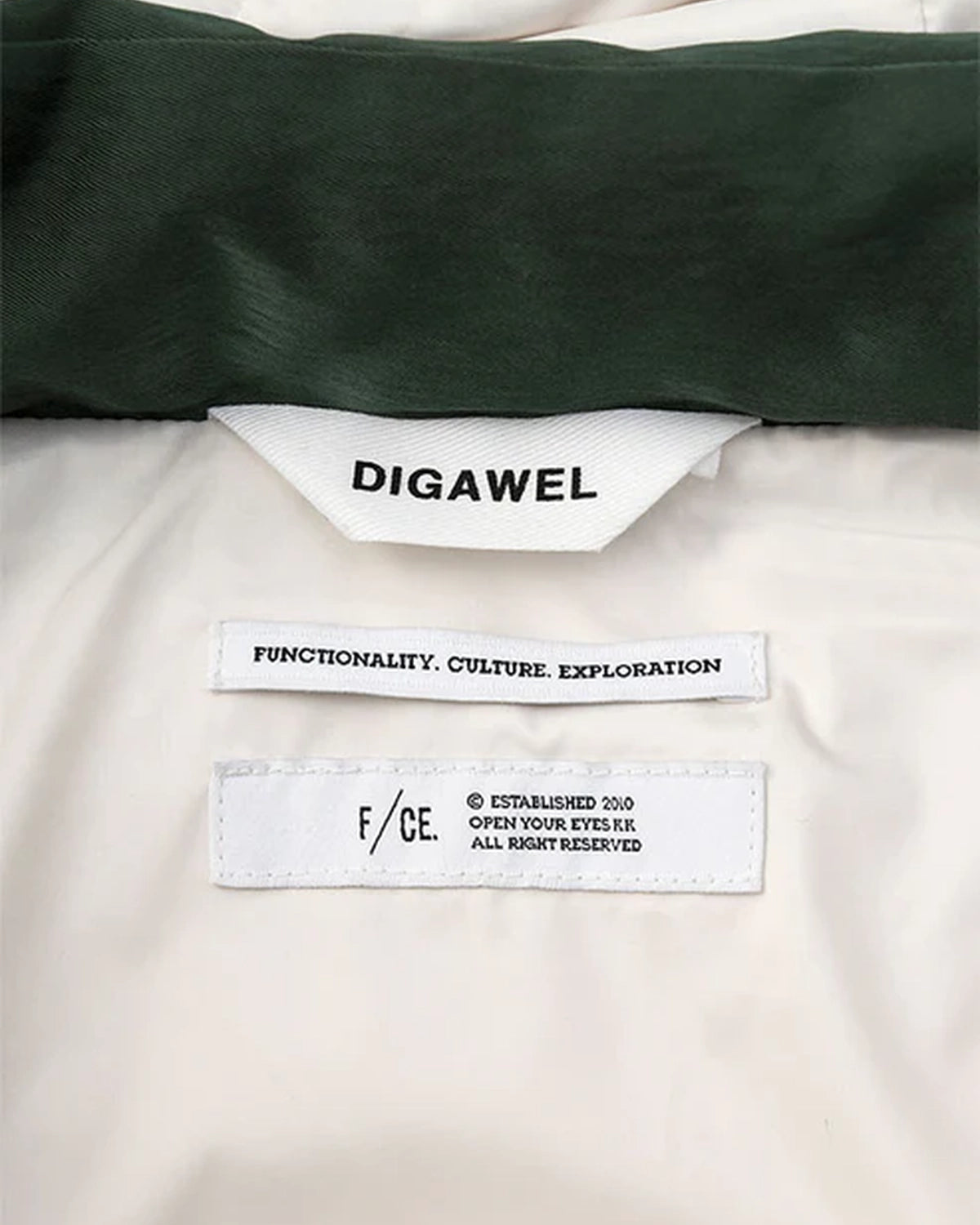 DIGAWEL × F/CE.  / Hoodie puffer jacket -F/CE.×DIGAWEL- (FSP09252U0004)