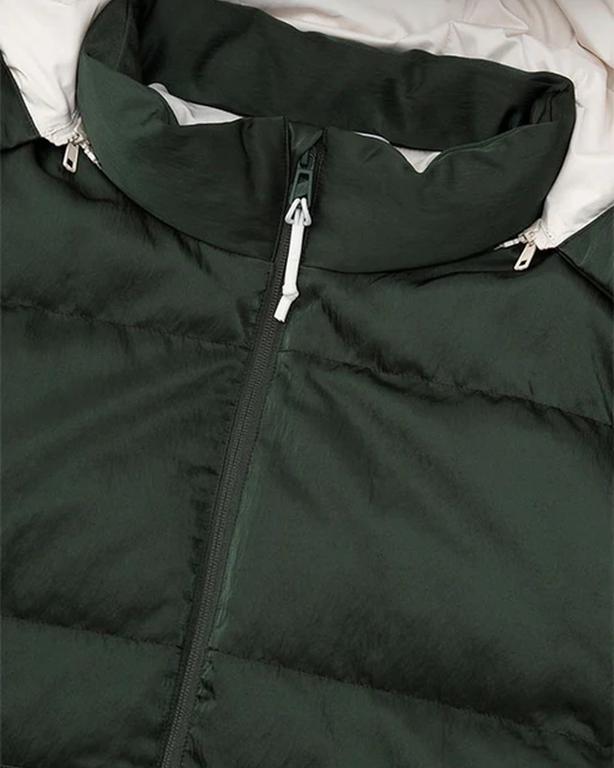 DIGAWEL × F/CE.  / Hoodie puffer jacket -F/CE.×DIGAWEL- (FSP09252U0004)